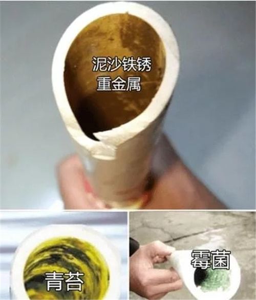 看完后再也不纠结净水器到底值不值得买-广东水展 watertech china (guangdong) - 2023年3月9-11日-环保水处理 | 膜与水处理 | 净水设备及配件 看完后再也不纠结净水器到底值不值得买-广东水展 watertech china (guangdong) - 2023年3月9-11日-环保水处理 | 膜与水处理 | 净水设备及配件