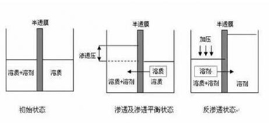 ro膜是什么？为什么说它是净水器的灵魂？