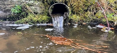 击破黑臭水体！福州市印发进一步推进入海排污口分类整治实施方案