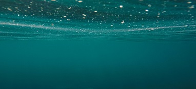 【数据】2023年家电行业一季报综述：经营企稳向上，白电板块表现领先